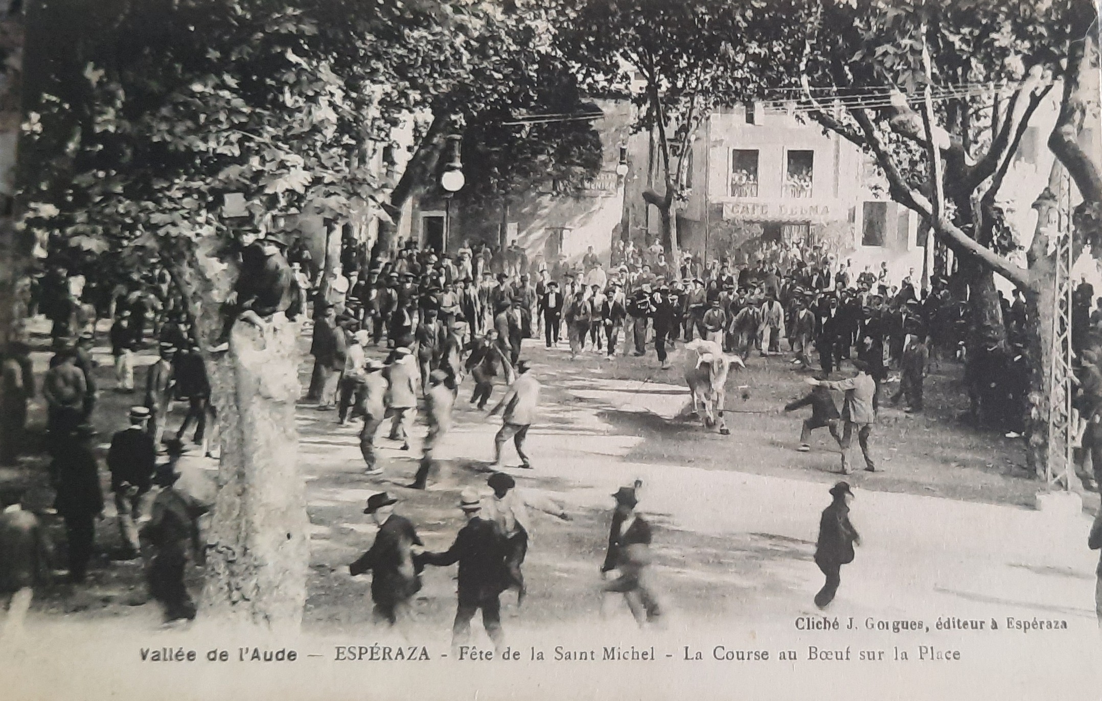 Course boeuf Esperaza 4