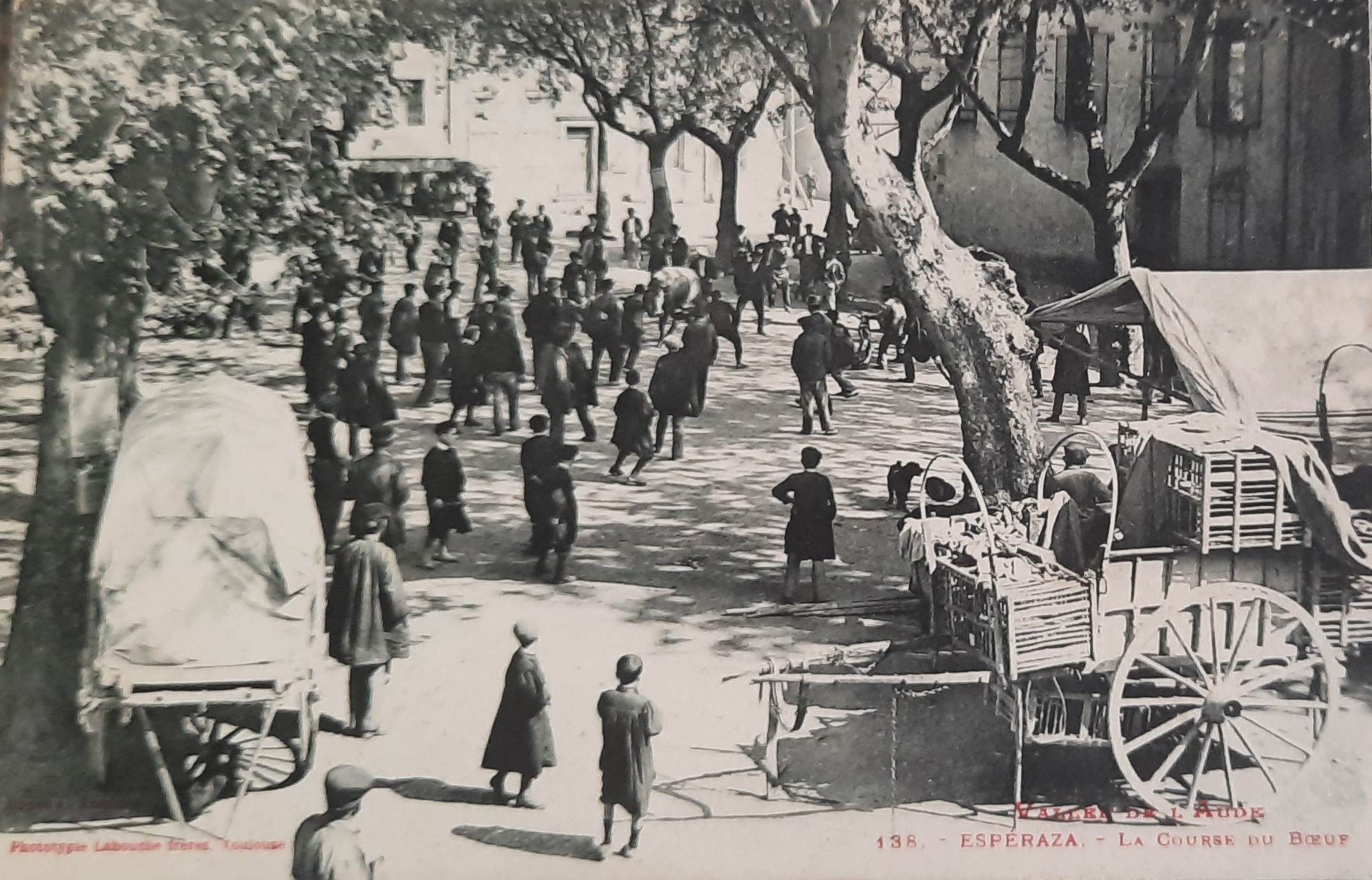 Course boeuf Esperaza 5