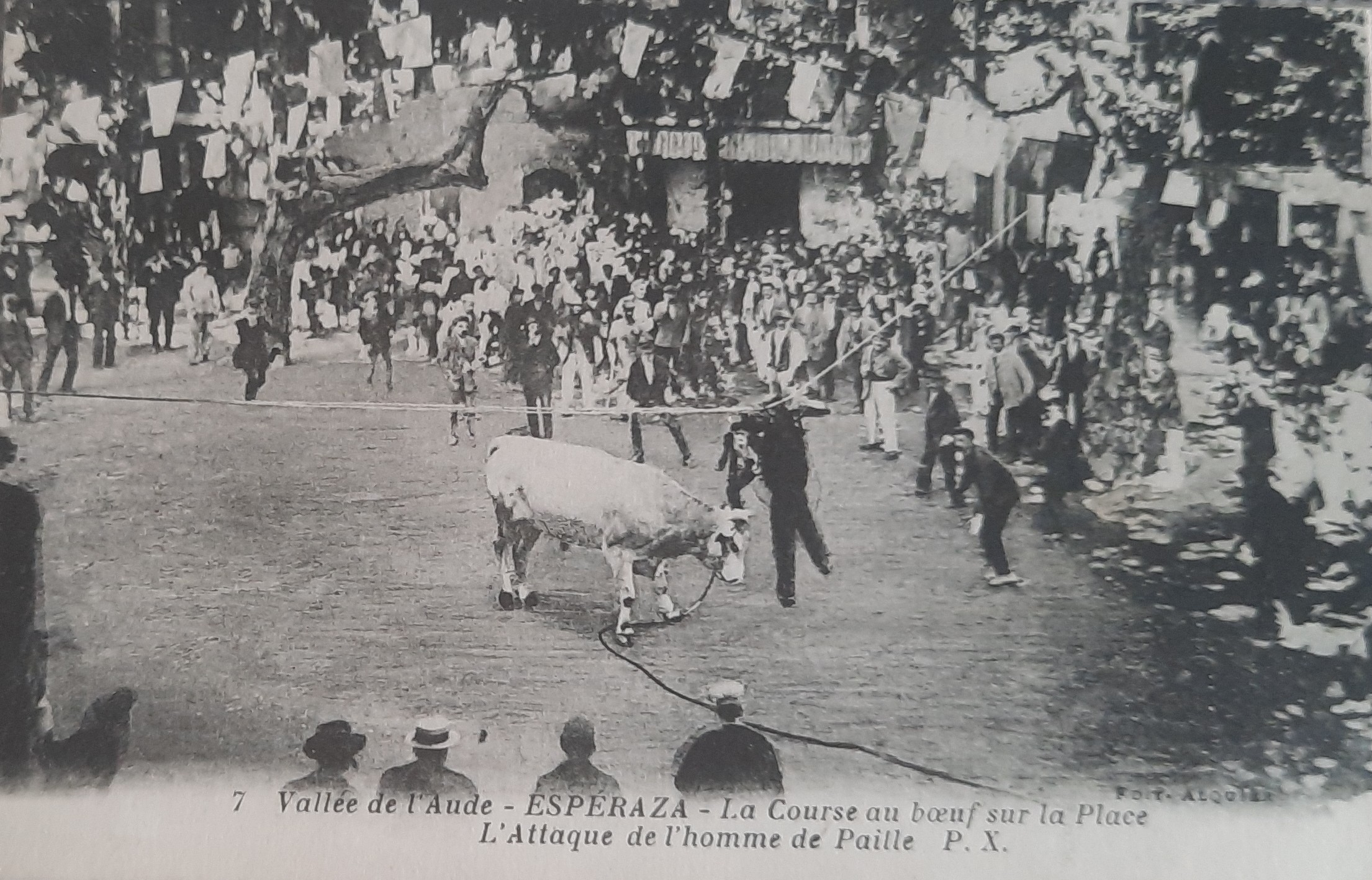 Course boeuf Esperaza 8