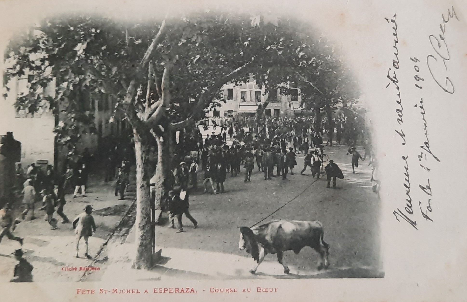 Course boeuf Esperaza 9