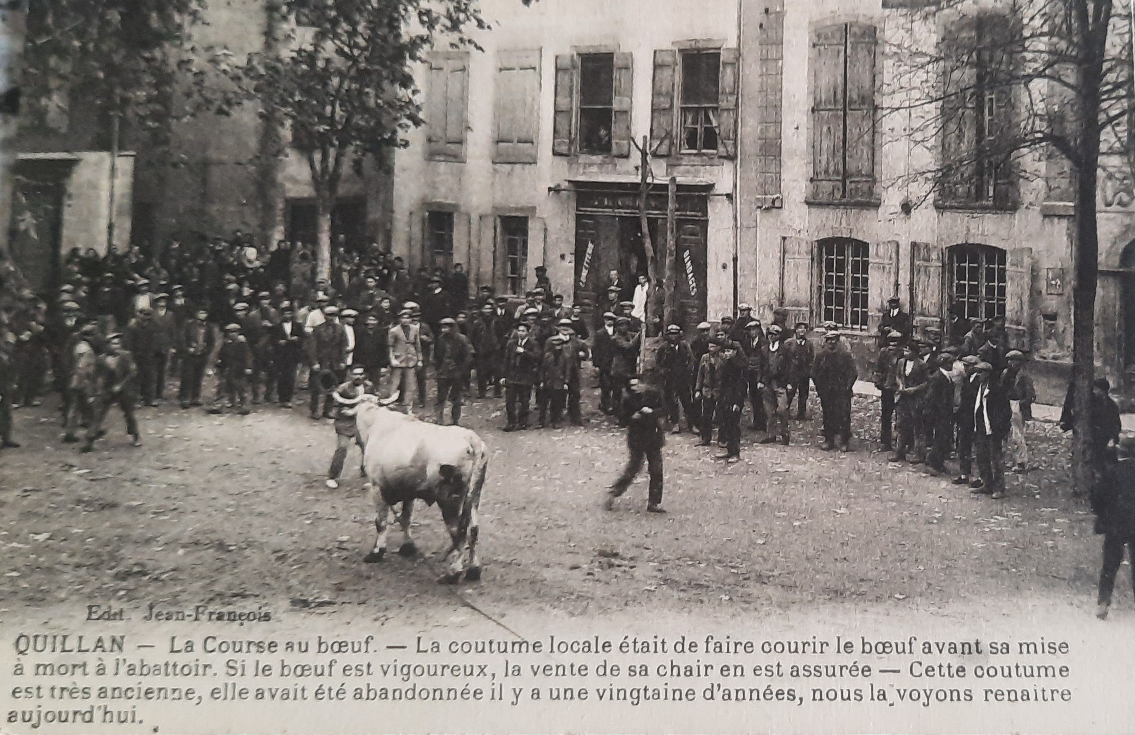 Course boeuf Quillan